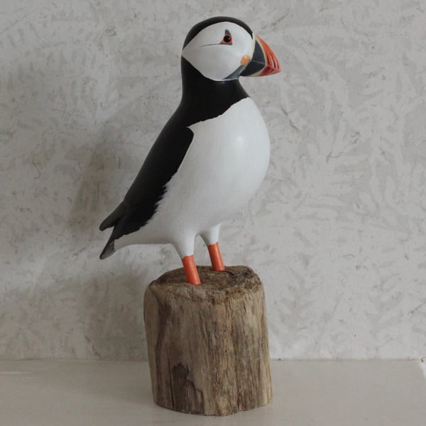 Puffin on Driftwood