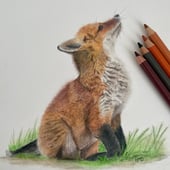 Hayley Dorian Artist