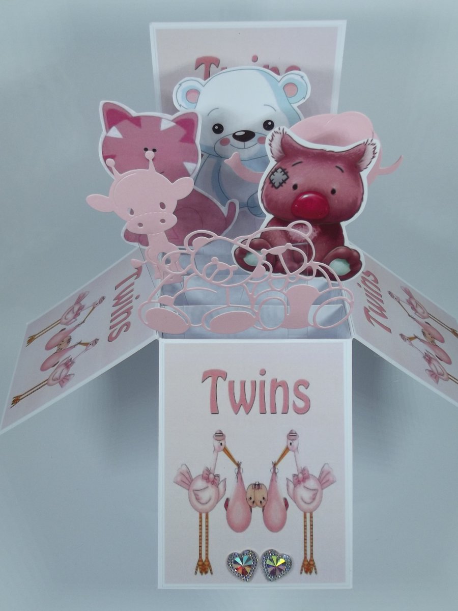 New Baby Card For A Twin Girls