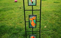 Garden Art Stakes