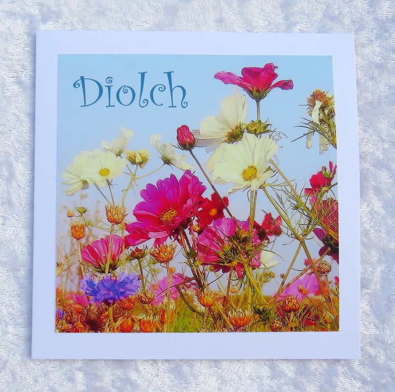 Diolch, thank you card,, welsh greetings, Cymraeg