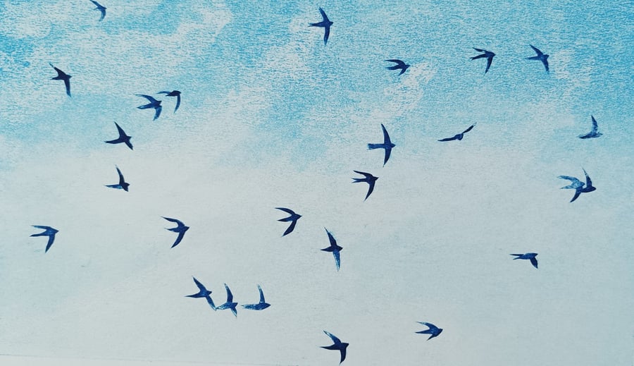 Collagraph Print - A Drift of Swifts - An Original, Limited Edition print