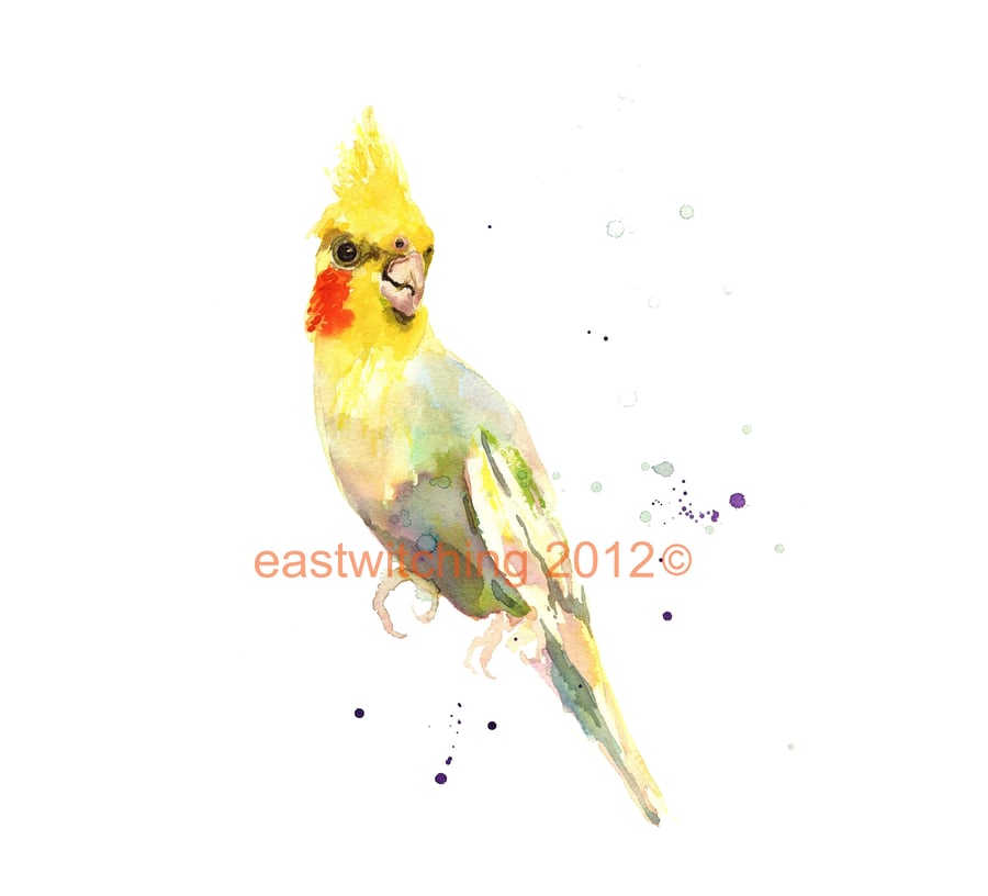 COCKATIEL Print