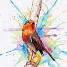 Robin Bird Norfolk Greeting Card A5