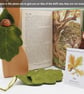 Acorn doll in an oak leaf - Image 5
