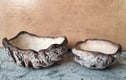 Clay Bark Bowls