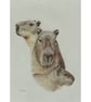 Capybara Clan - Fine Art Print - Image 1