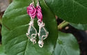 ROSE COLLECTION