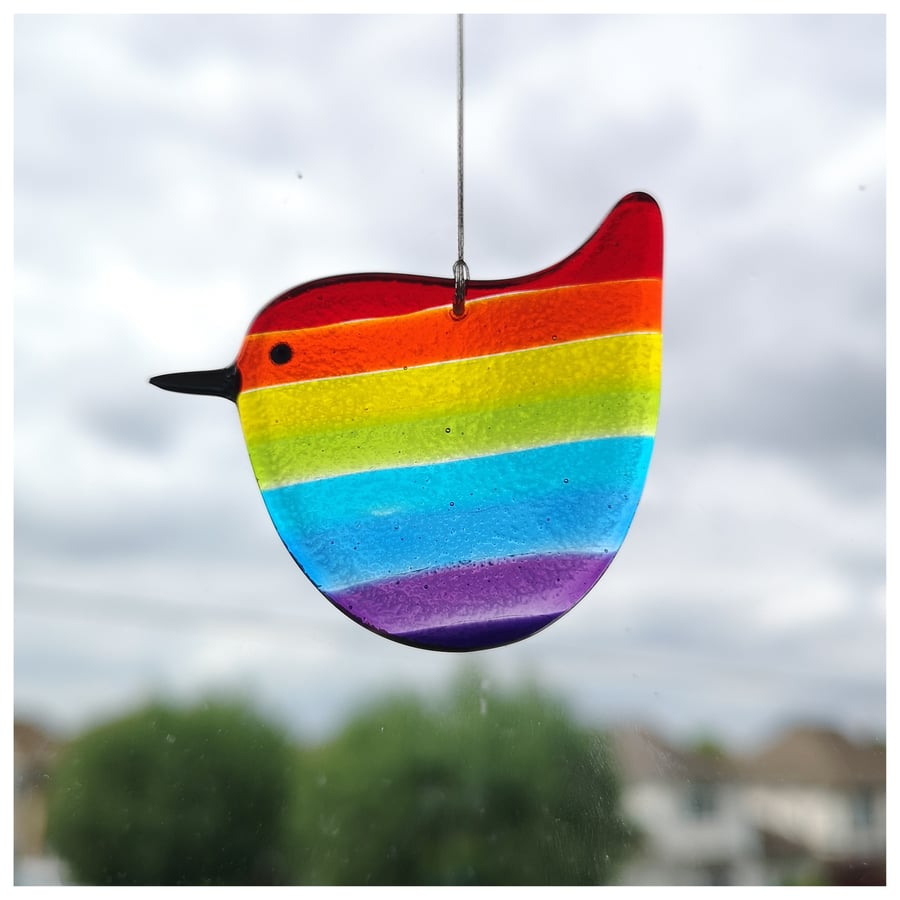 Medium size 'Rainbow Wren of Hope' bird with red head and tail