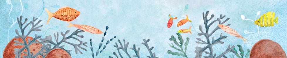 Catherine Hoggins Illustration