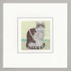 Tabby and white cat card