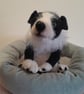 Border Collie New Born Puppy, Dotpebblesknits  Design - Image 7