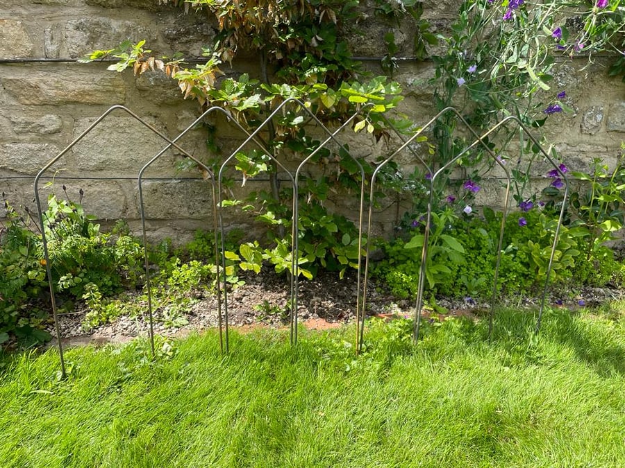 Rusty Raven Naturally Rusty Metal Angle Arch 6 Pk Border Edging or Fencing