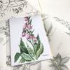 Pack of 5 Botanical watercolour  postcards 