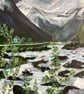 Olden, Norway - Image 8