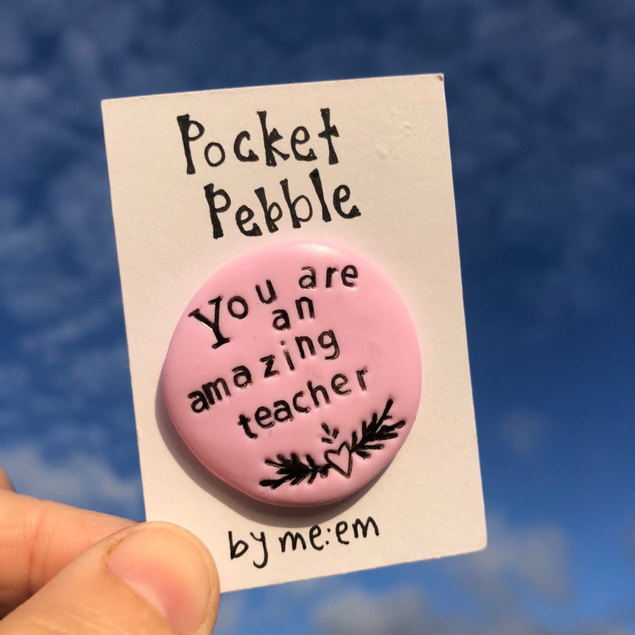 You are an Amazing Teacher Teaching Assistant Gift Pocket Pebble