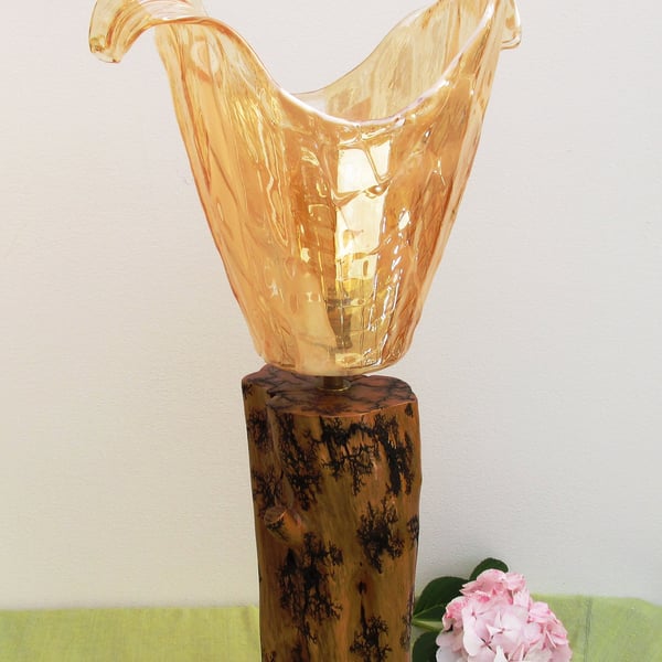 'Honey' - Stunning and unique lamp.