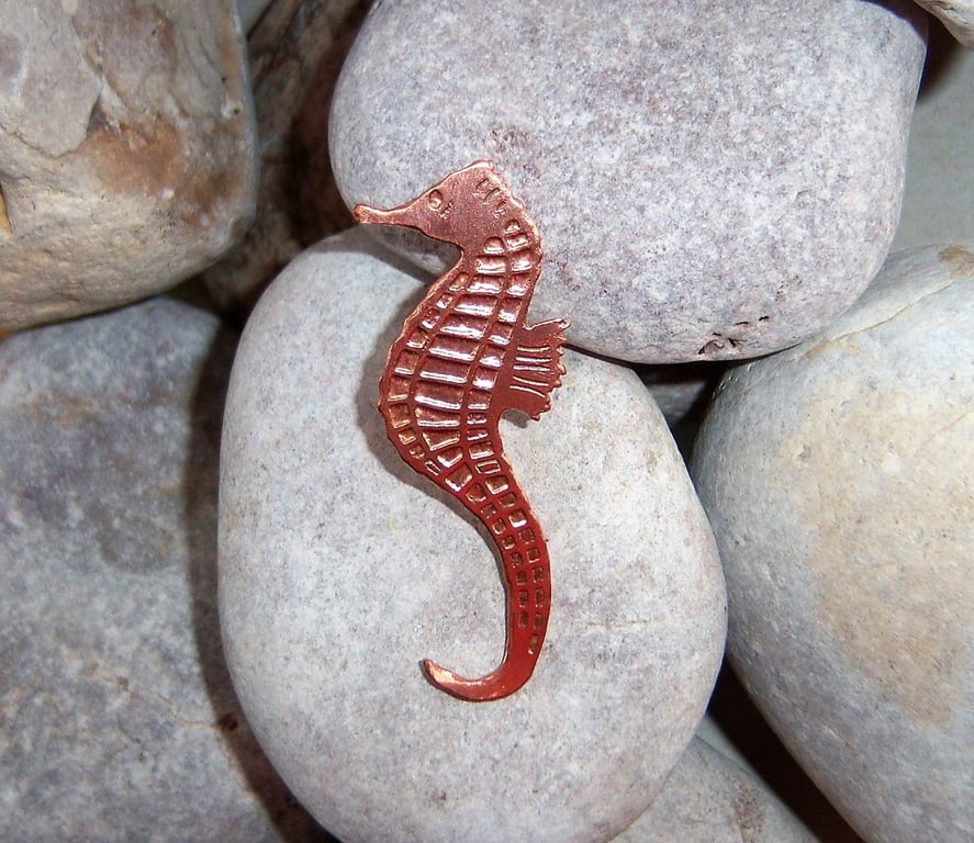 Seahorse brooch in etched copper