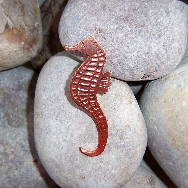 Seahorse brooch in etched copper