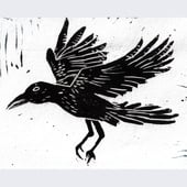 Poddtoo prints
