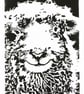 Sheep - Dartmoor Grey Faced Sheep - Original Hand Pulled Linocut Print - Image 1