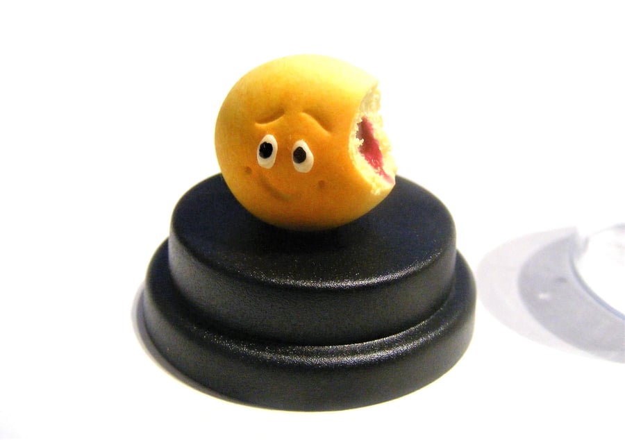 Pet Donut, Pet Doughnut, Sufganiyah, Jelly donut