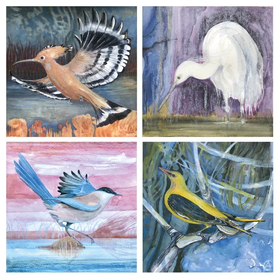 Guadiana Birds - Set of 4 blank cards
