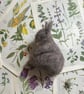 Felted Rabbit - Needle Felted Rabbit - Needle Felted Bunny  - Image 7