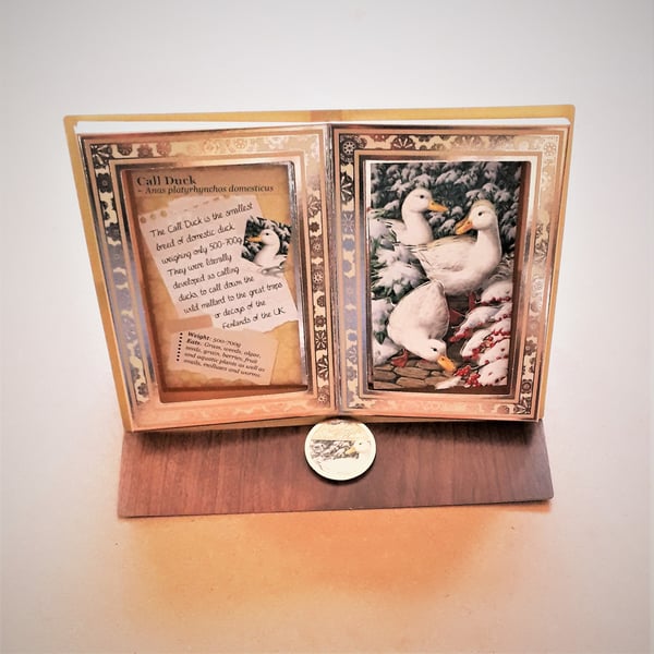 Unusual Call Duck Festive Easel Card