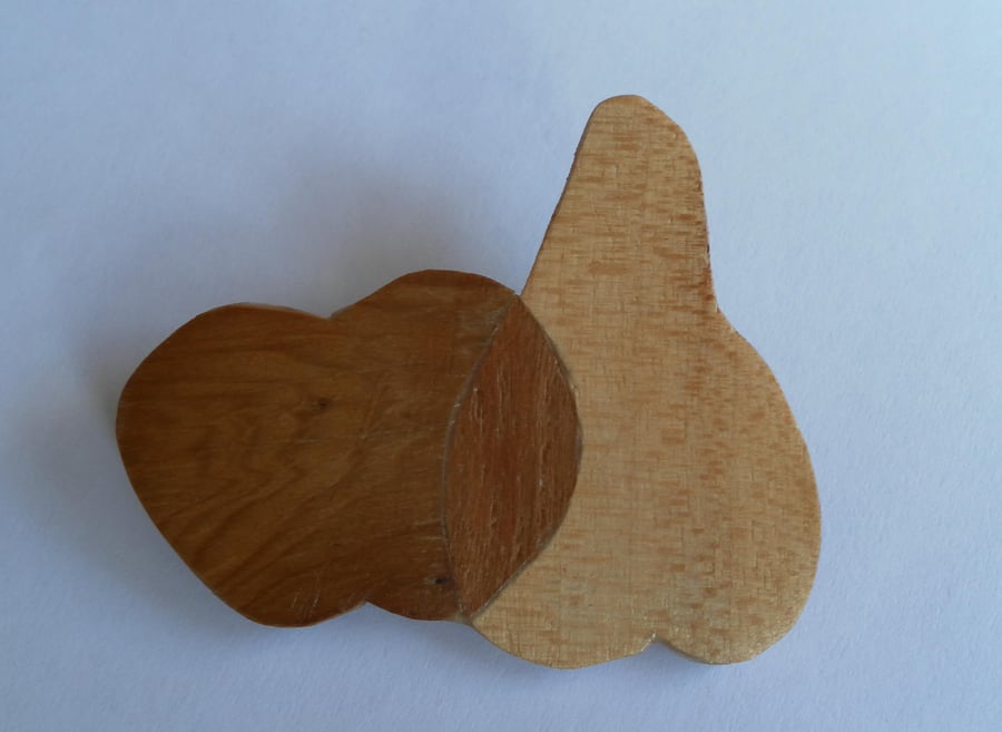 Hand Cut Wood Veneers, Marquetry Brooch, Apple and Pear