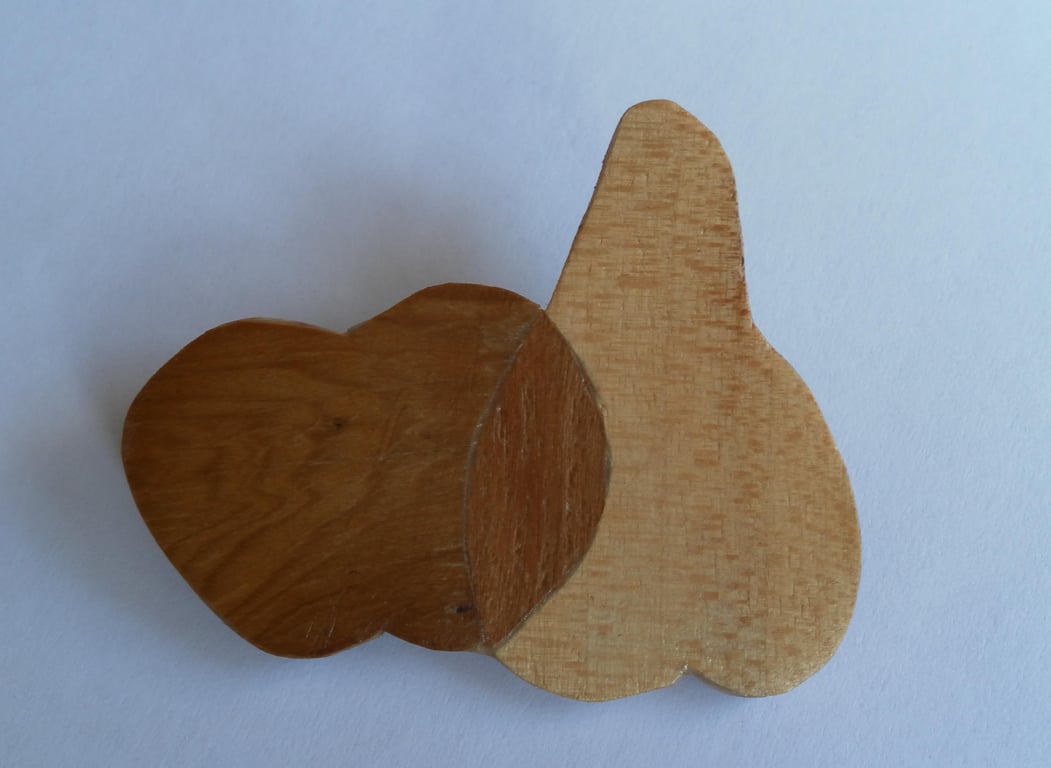 Hand Cut Wood Veneers, Marquetry Brooch, Apple and Pear