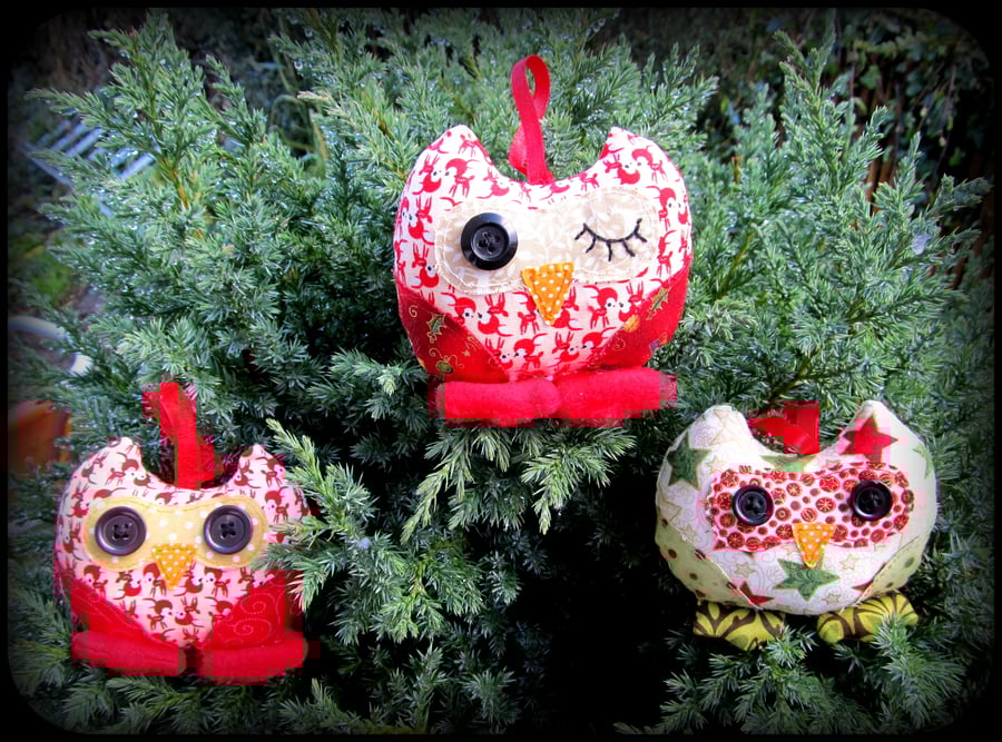 Baby owls,  set of three.