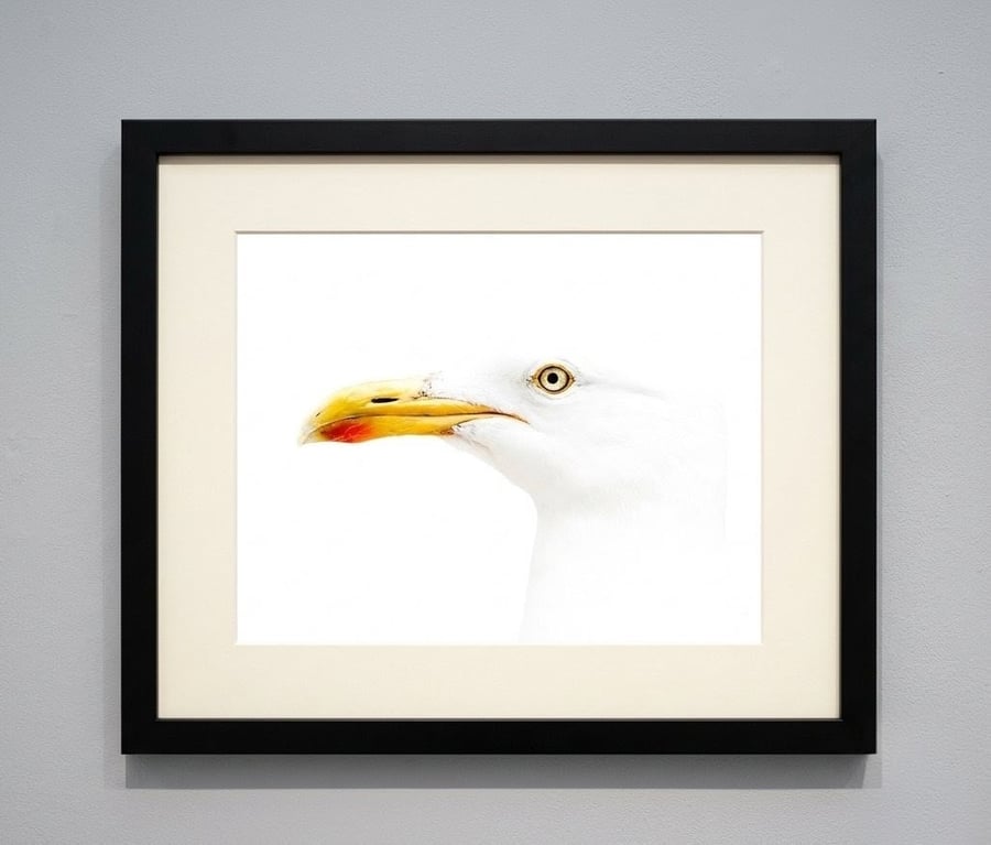 Seagull