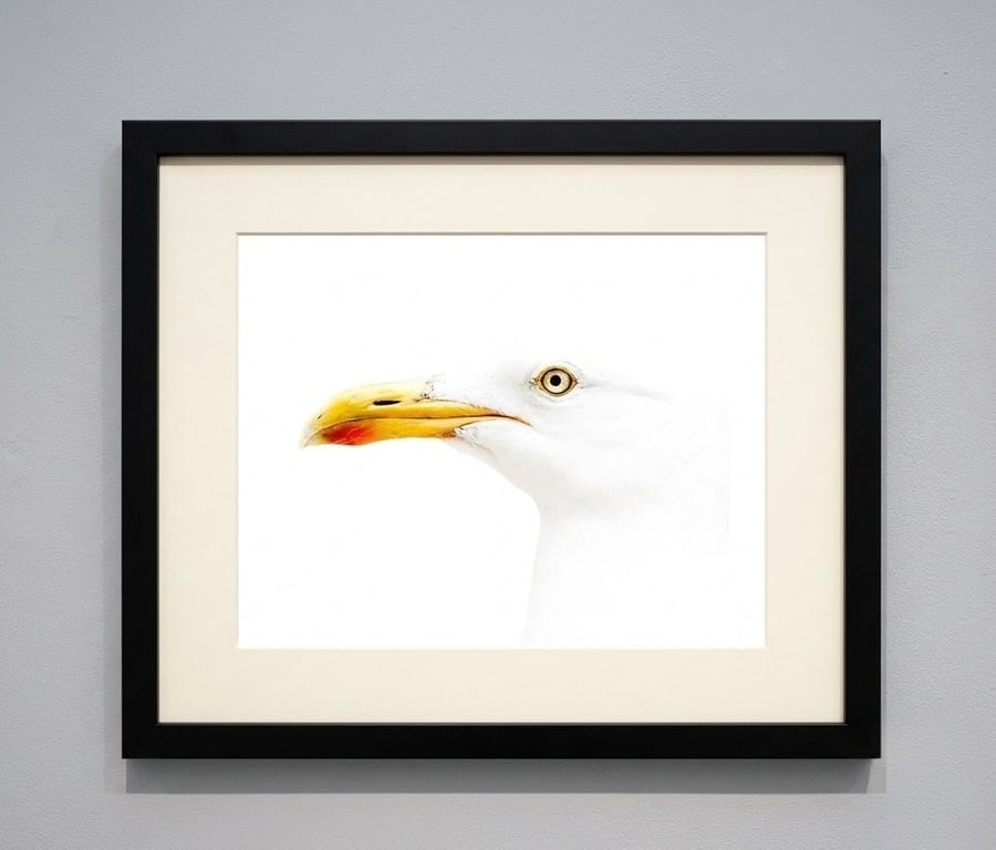 Seagull