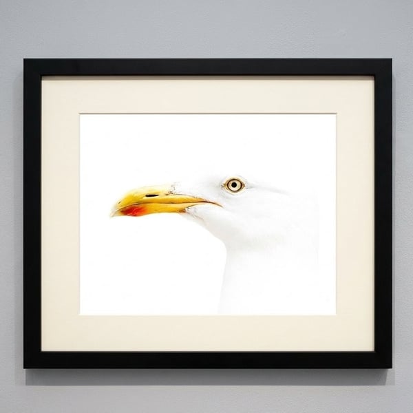 Seagull