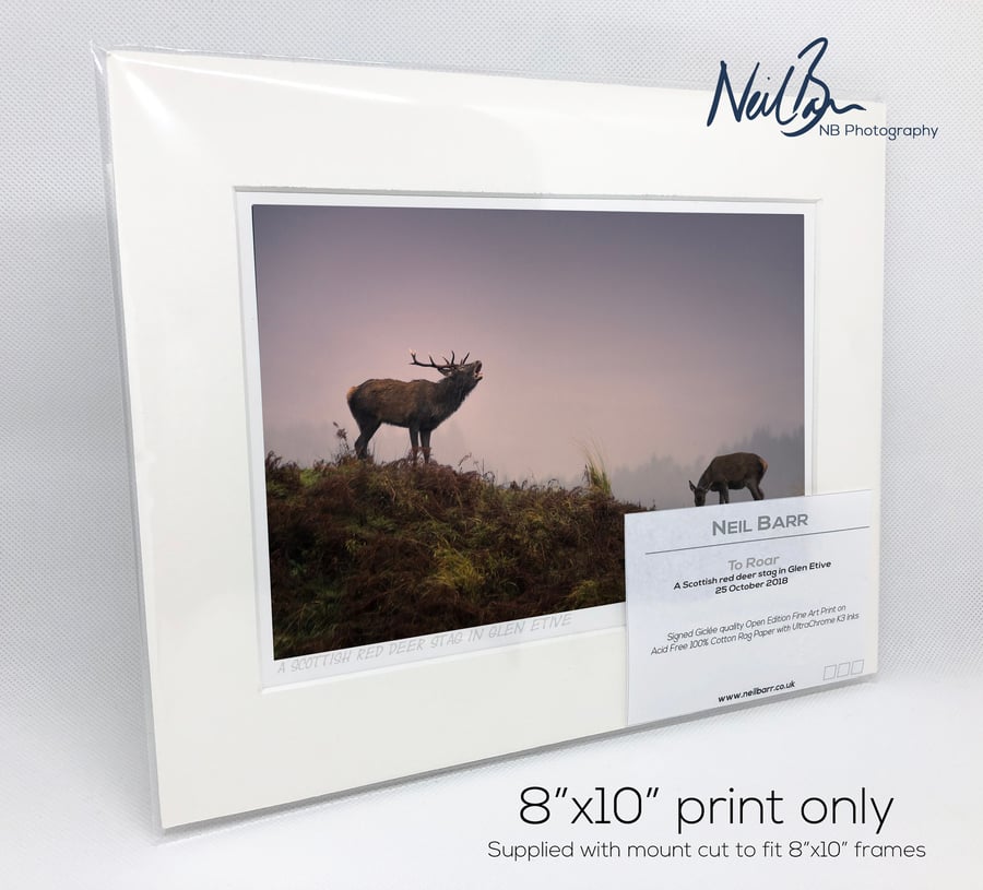 Scottish Red Deer Stag Rut Glen Etive Scotland - A5 (10" x 8") Unframed Print