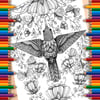 Digital Colouring Pack - Ornate Animals