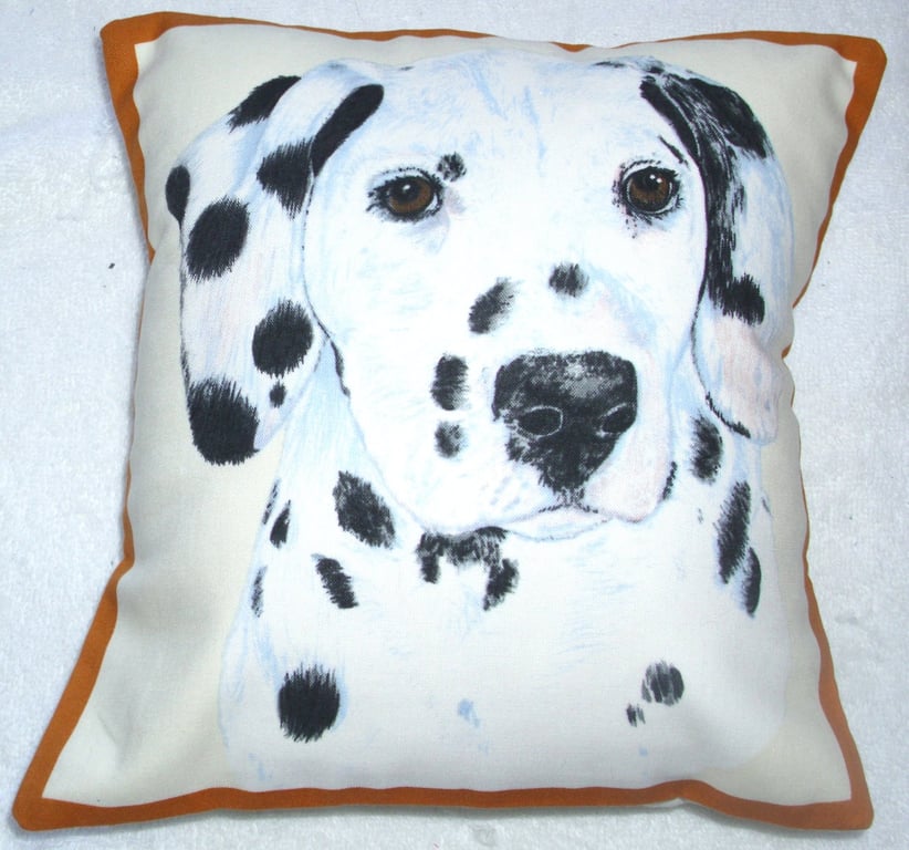 Portrait picture of a Dalmation pup facing forward cushion,