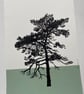 Ashdown Pine no.58, A4 original artwork, Green  - Image 5