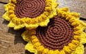Coasters