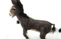 Needle Felted 