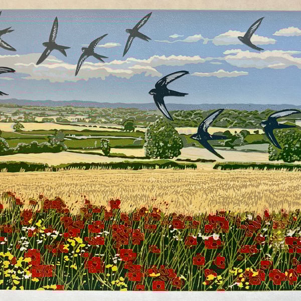 Summer Swifts
