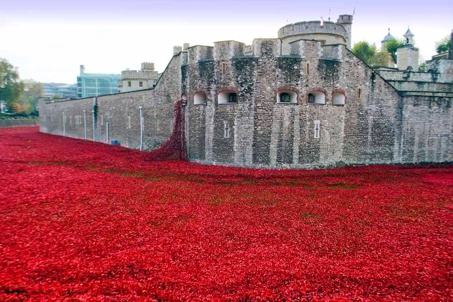 Tower Of London Poppies Red Poppy Photograph Print