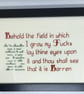 Behold the Field – Funny Sweary Rude Quote Handmade Framed Cross Stitch - Image 4