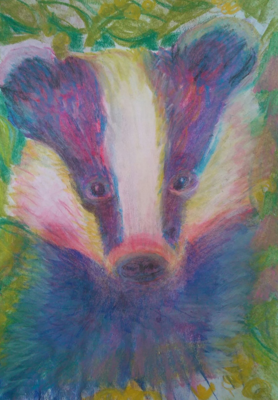 Mrs Badger, Chalk pastels drawing in a mount
