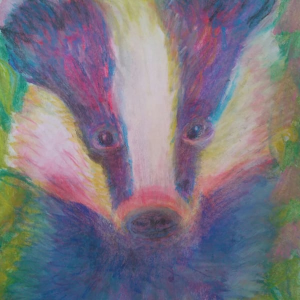 Mrs Badger, Chalk pastels drawing in a mount