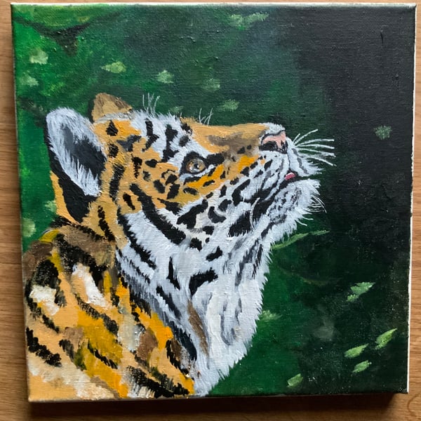 Acrylic Tiger painting. Tiger on Canvas. 10” by 10”. Tiger Art.