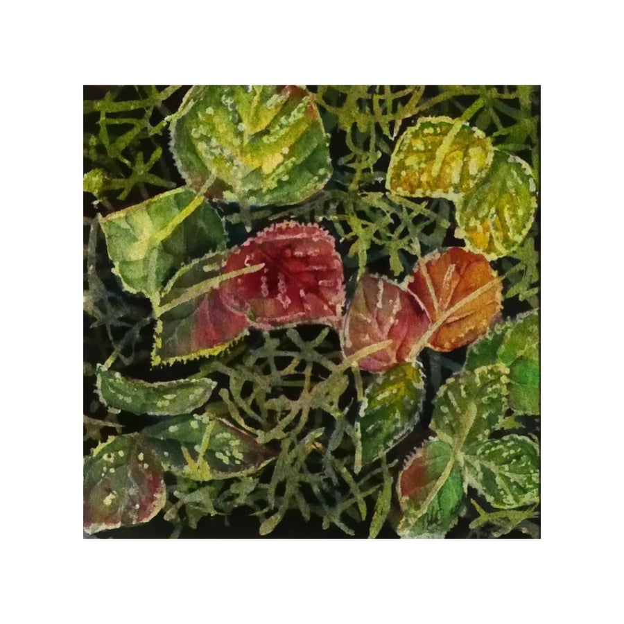 Bramble Leaves Botanical Watercolour Painting