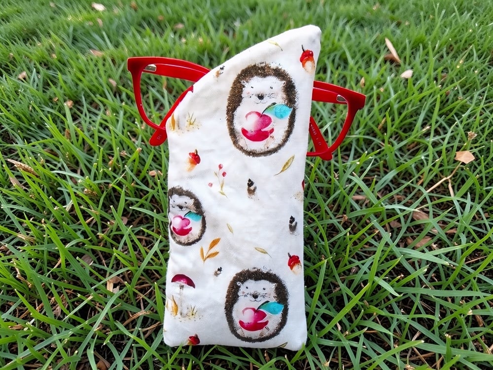 Cute Hedgehog Glasses Case Lined & Padded Unique 