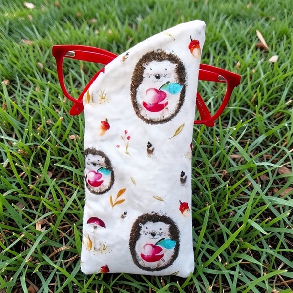Cute Hedgehog Glasses Case Lined & Padded Unique 